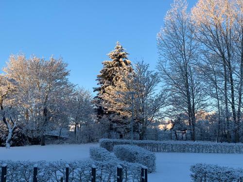 Hotel Residenz Putbus