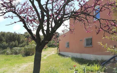 Apartamento Studio 28m2 Climatis�,wifi, Proche Des Calanques,plages