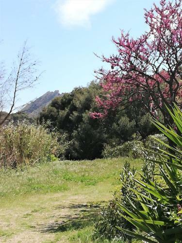 Apartamento Studio 28m2 Climatis�,wifi, Proche Des Calanques,plages