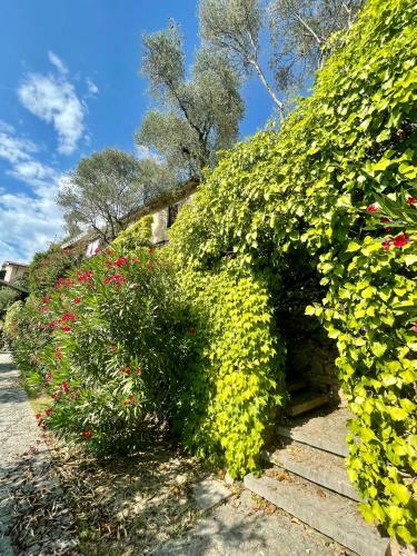 Perlago Apartments