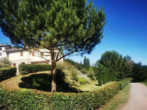 Bed & Breakfast Villa Boncompagni