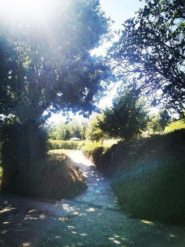 Bed & Breakfast Villa Boncompagni