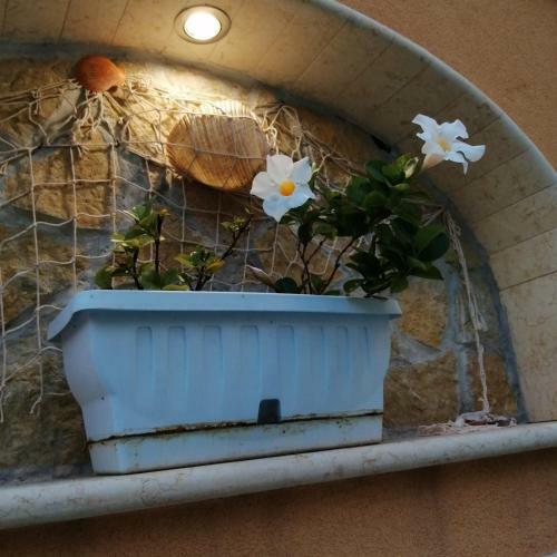 Hostal Ivana Home