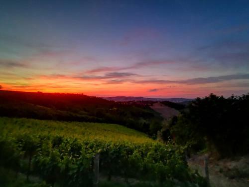 A 2,5 Km Dal Centro Di Alba Con Vista Sulle Langhe