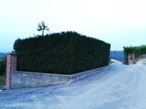 A 2,5 Km Dal Centro Di Alba Con Vista Sulle Langhe