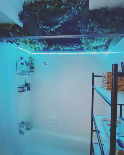 Apartamento 420 Friendly- Cabana Studio