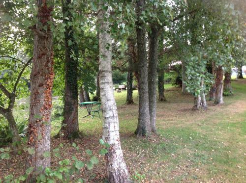 Chalet Sur Pilotis Spa Les Cabanes De Koad'dour