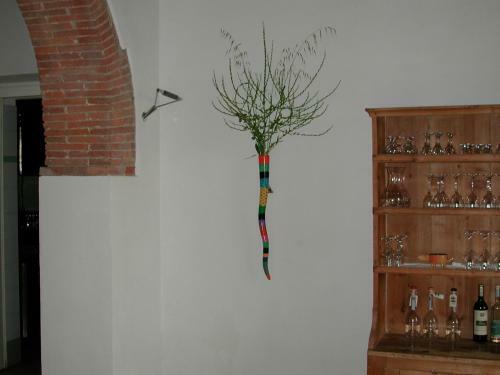 Agroturismo Podere Riparbella