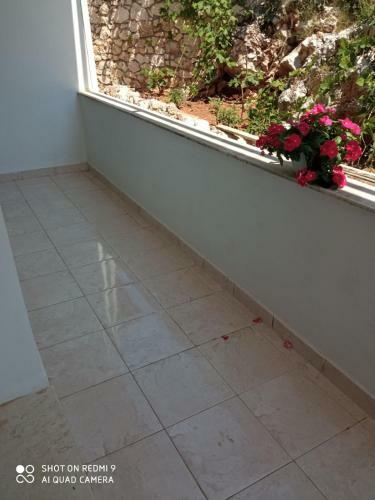 Palasa Apartment
