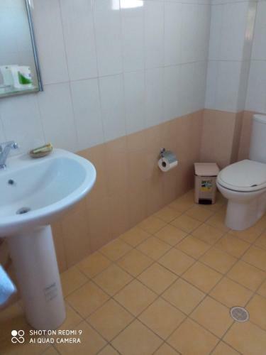 Palasa Apartment
