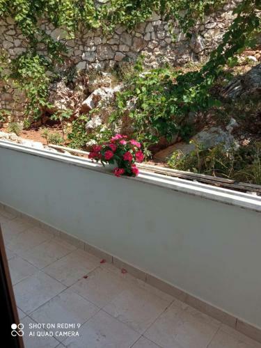 Palasa Apartment