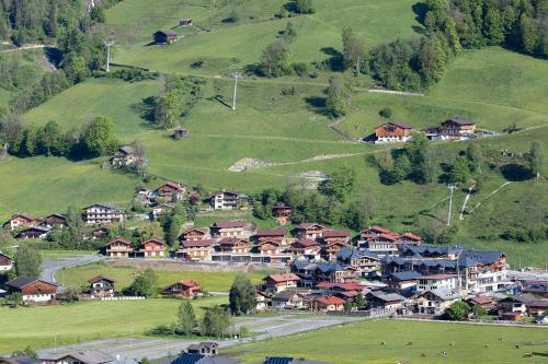 Gr�nerstein Chalet Jungbrunnen
