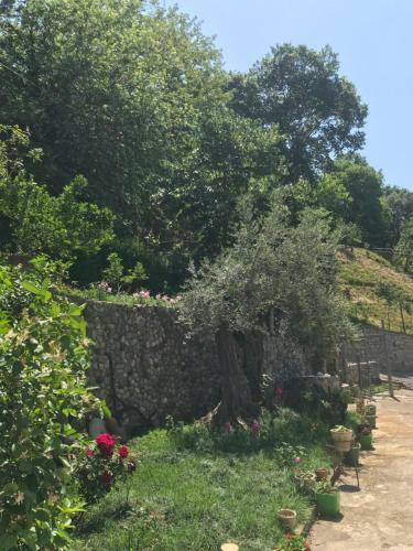Villa Privat Vila