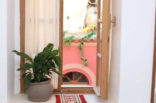 Bed & Breakfast Gaia