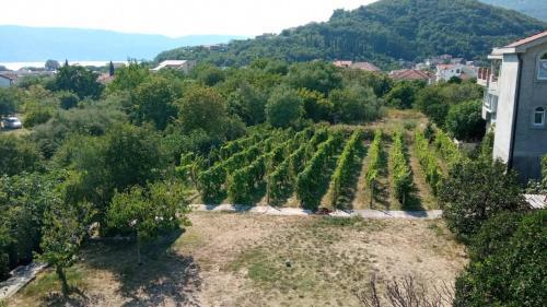 Apartamento Doma?instvo Kova?evi?
