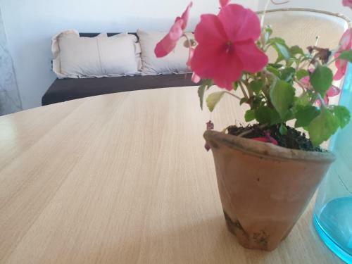 Mijailovic Apartmani