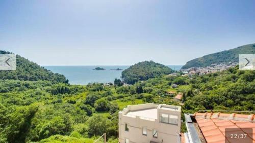 Apartamento Vila Nova Petrovac