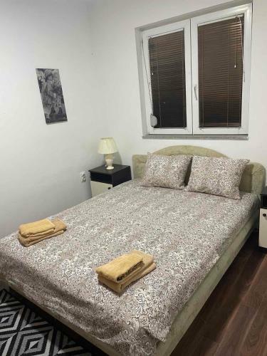 Apartmani Tomi?