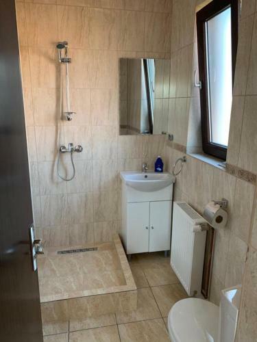 Hostal City Rooms Beius