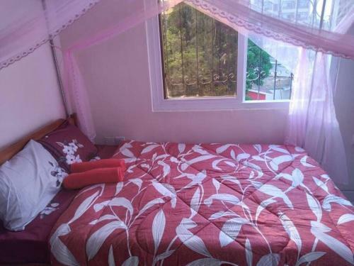 Edumosy Serviced Apartments