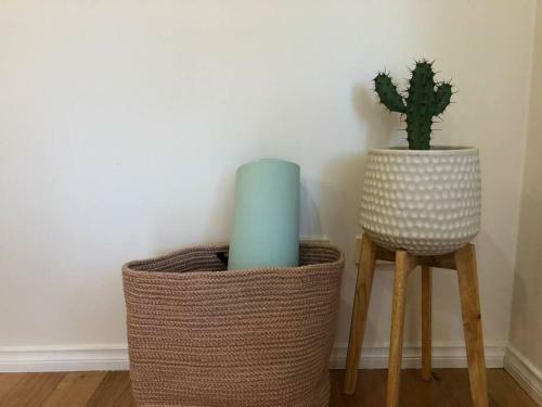 Pink Cactus Cottage