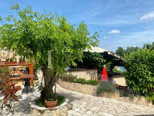 Wellness Apartm�ny F�rst