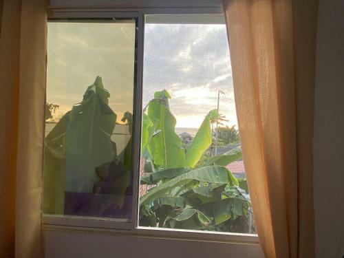 Apartamento Posada De Kori