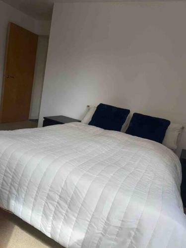 Spacious Apartment W/free Parking And Wi-fi.