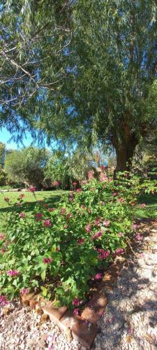 Bed & Breakfast Refugio Pueblo