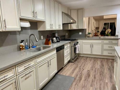 Newly Remodeled! Large Bright Modern House Central