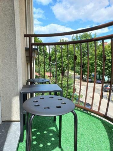 Apartament Zebra