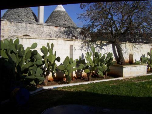 Agroturismo Agriturismo Locanda Ventura