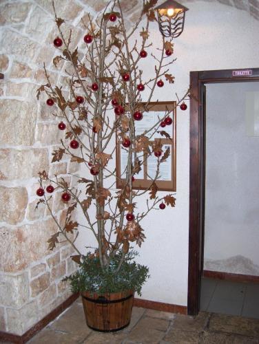 Agroturismo Agriturismo Locanda Ventura