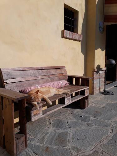 Hostal Rosso Di Sera