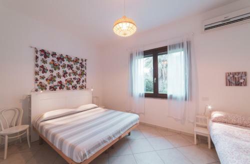 B&B Fiore