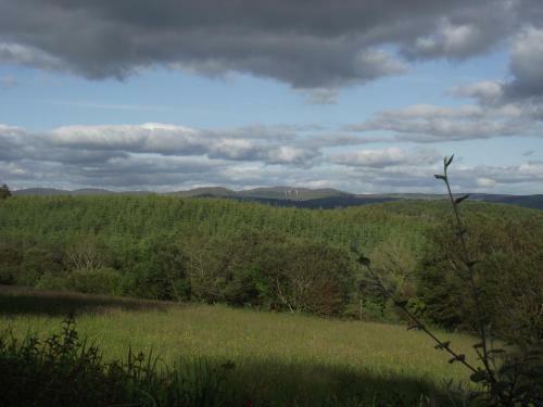 Pine View Self Catering Holiday Home