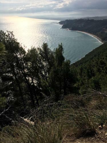 Agroturismo Rustico Del Conero
