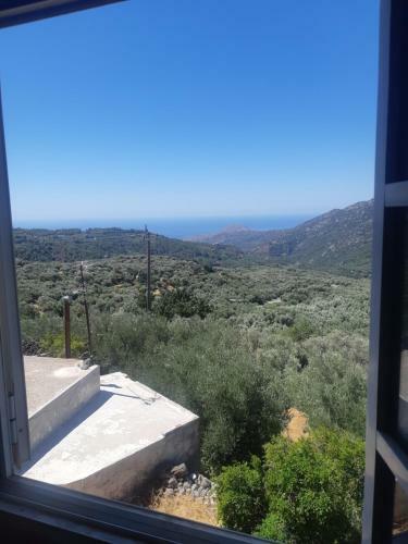 Apartamento View Home