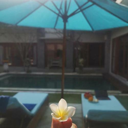 Nabella Villa