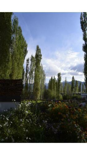 Hostal Yarol Guest House