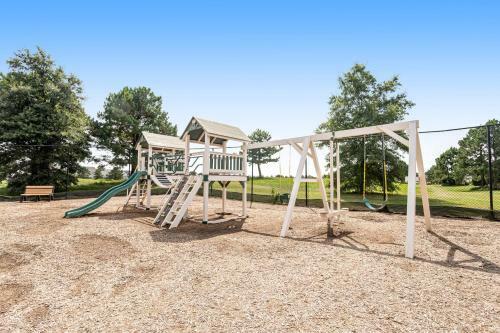 Bear Trap --- 43 Tulip Poplar