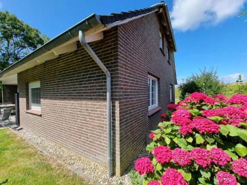 Ferienhaus Im Hasengrund