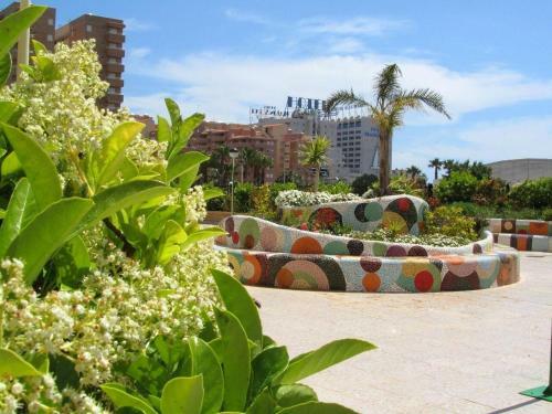 Apartamento Mejor Zona de Marina Dor 2� Linea