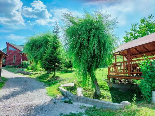 Sz�kely Panzi�
