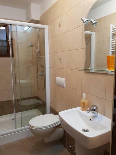 Hostal Pensiunea Cara