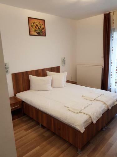 Hostal Pensiunea Cara