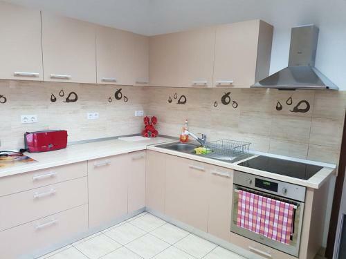 Hostal Pensiunea Cara