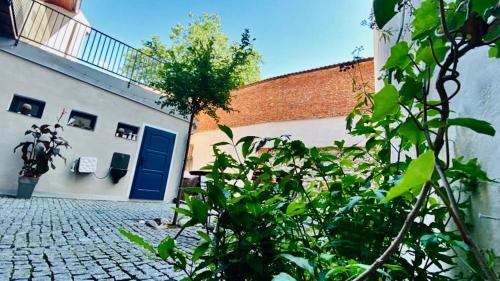 Apartamento D?m U Zelen�ho Stromu