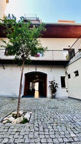 Apartamento D?m U Zelen�ho Stromu