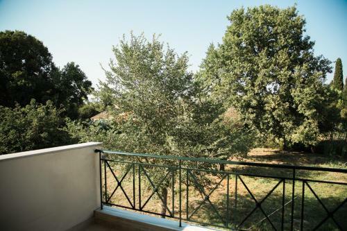 Apartamento Dora's House